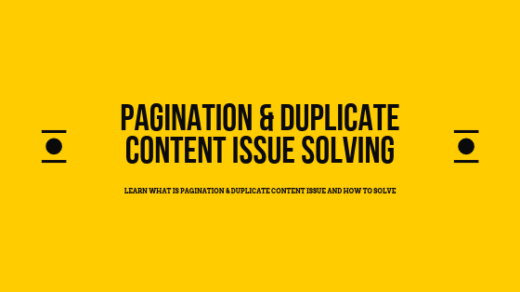 Pagination-Duplicate-Content-Issue-Solving